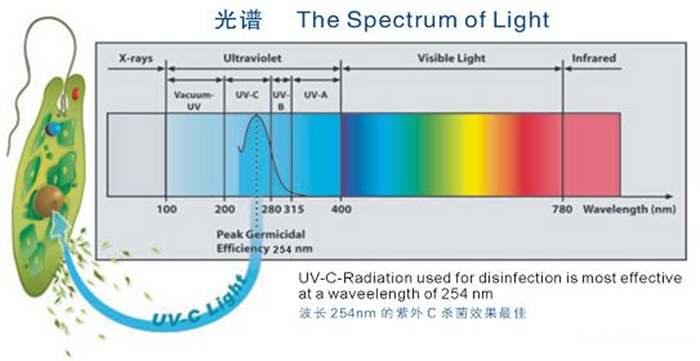 科普！紫外線殺菌燈對人體影響及正確使用方法
